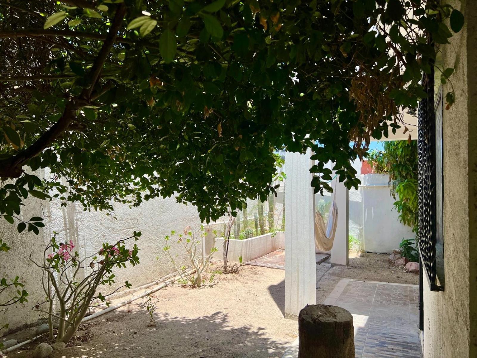 La Casa Del Pescador Apartment Ла Пас Екстериор снимка